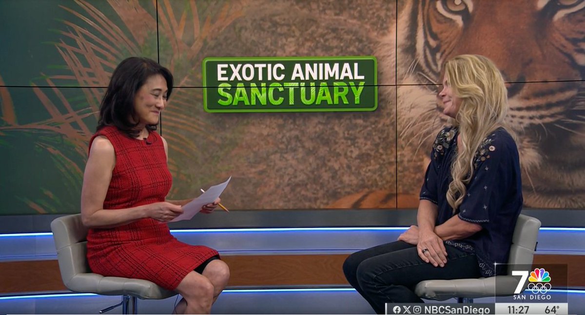 Don't miss NBC7’s Marianne Kushi's interview with our founder, Bobbi Brink, discussing our mission to end the exotic animal trade.nbcsandiego.com/local/lions-ti…  

Join us this Saturday, May 18th at 2 pm at Wild in the Country 🐾 Get your tickets now! one.bidpal.net/wic2024/welcome