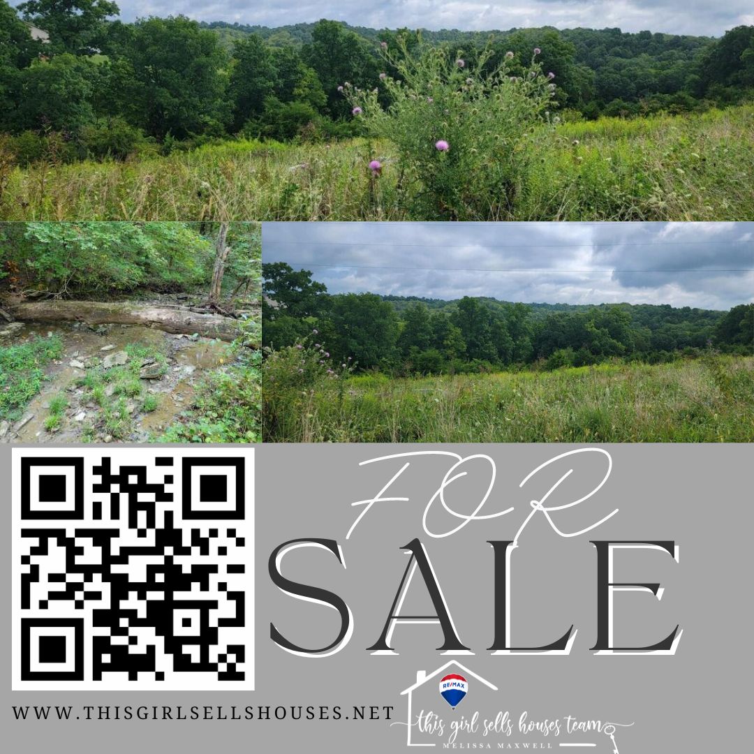 🌳 Discover Your Own Piece of Paradise in De Mossville, KY! 🌾
🏞️ Recreational Land for Sale 🌞
Escape the hustle and bustle of city life and embrace the tranquility of nature in beautiful De Mossville, Kentucky! 
thisgirlsellshouses.net/.../15711-Pfan…...
#ThisGirlSellsOhioAndKY