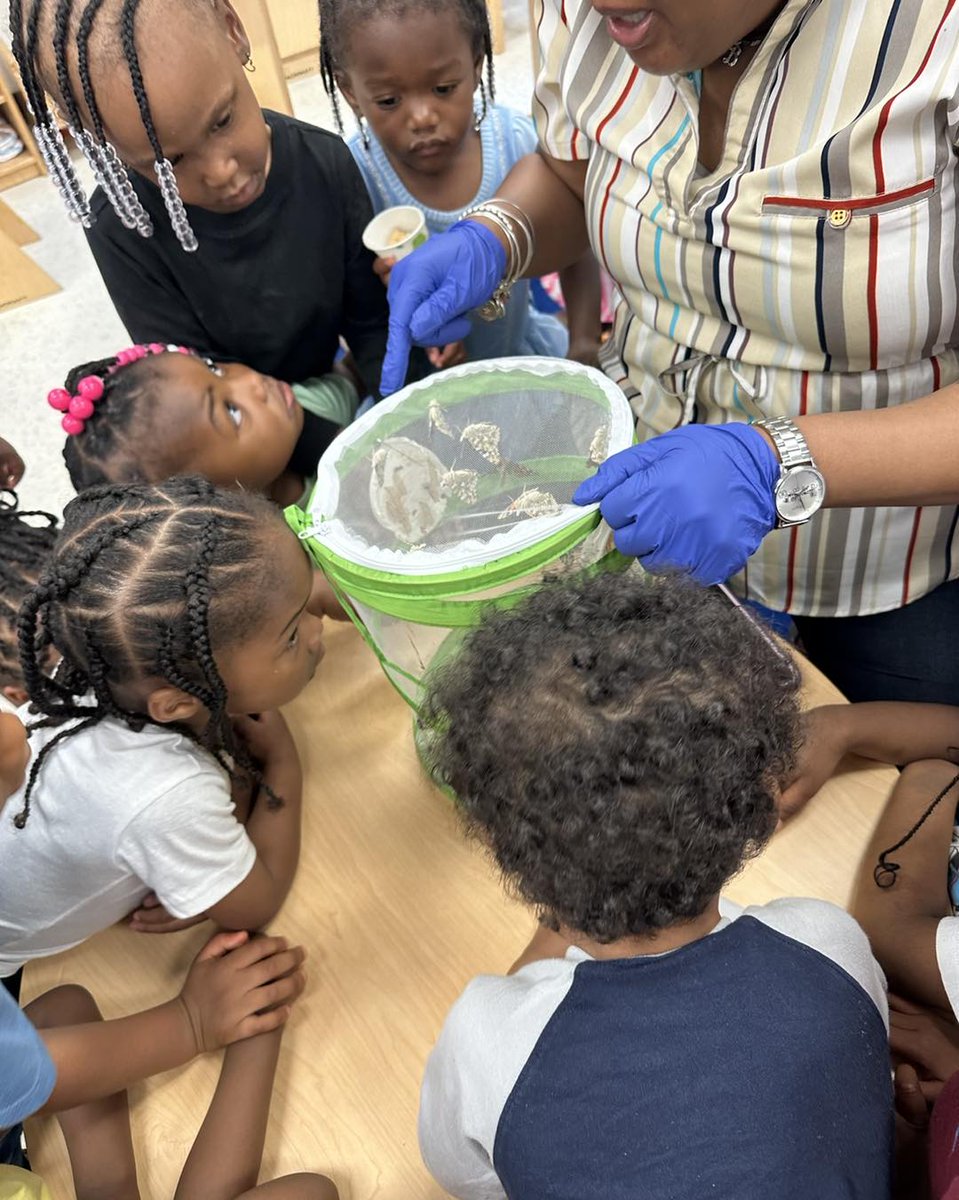 This week, some Westview students explored the magical world of butterflies! From caterpillar to fluttering beauty, these little ones were mesmerized 🦋🌿