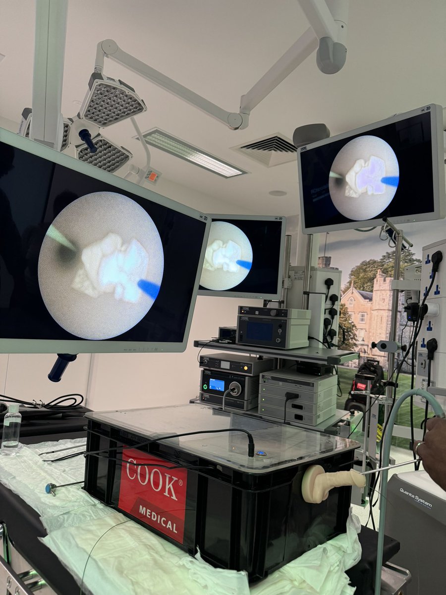 Incredible @KARLSTORZUK + @BAUSurology Ureteroscopy workshop 🪨 : top-notch faculty and state-of-the-art simulation center that made it all possible #SurgicalSimulation