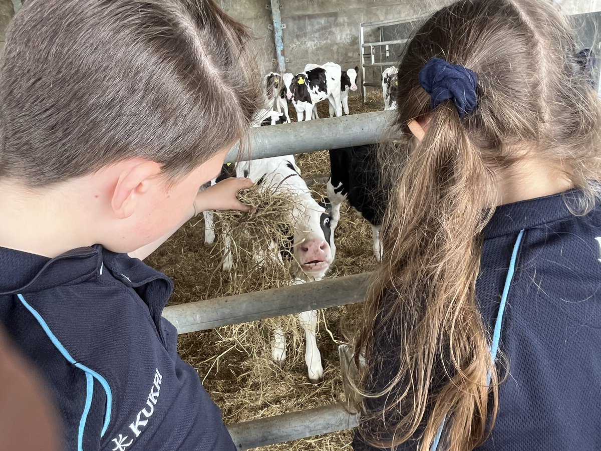 StMargs Year 5 tweet media