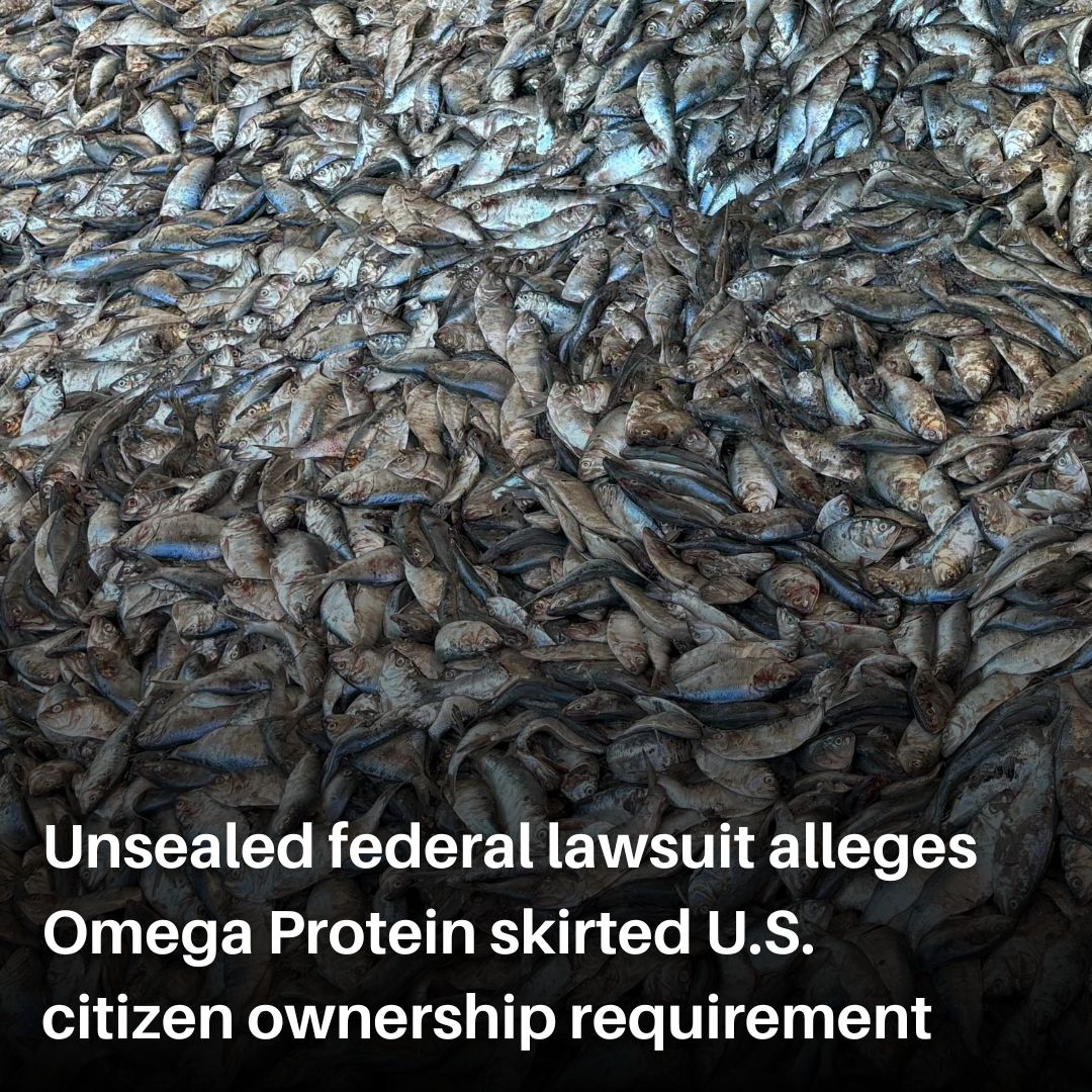 A federal lawsuit claims the Chesapeake Bay's lone menhaden reduction fishery violated federal law by using a shell company to hide foreign ownership, diverting profits to Canada instead of Virginia. Read more here: tinyurl.com/mrxtjta6