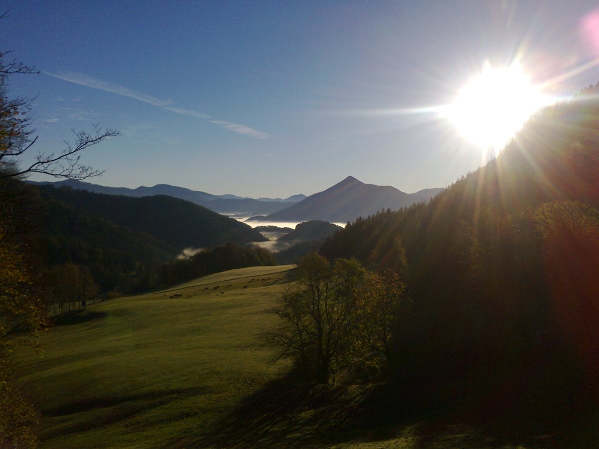 Ich wünsche Allen einen schönen Abend
& einen guten Start ins verlängerte Pfingstwochenende.
Bleibt weiter gesund, freundlich & (er)lebensfroh.

Bild:
Im Hintergrund der Ötscher,
vorn eine Bergalm.
(Aufgenommen bei Gscheid [NÖ]
früh morgens beim Aufbruch zu einer Hochschwabtour)