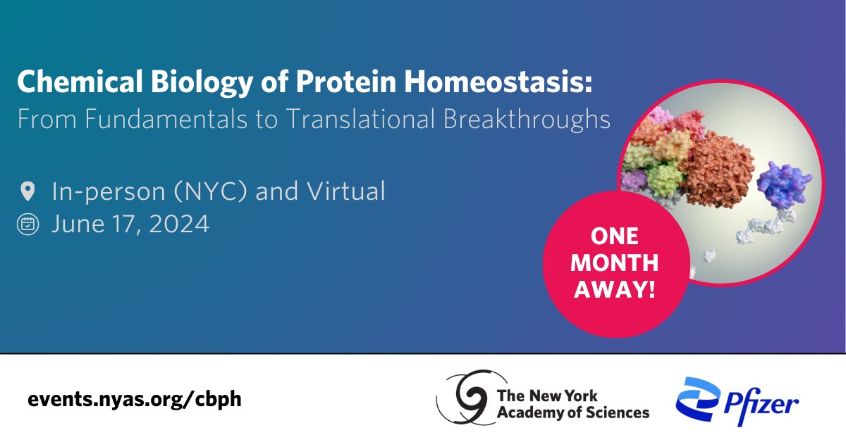 ⏰ Just ONE MONTH until the Chemical Biology of Protein Homeostasis symposium, presented by the Academy & sponsored by @Pfizer! Join us on June 17, in NYC or virtually, to explore the cellular processes that control protein synthesis & more. Register: bit.nyas.org/3J66VDN