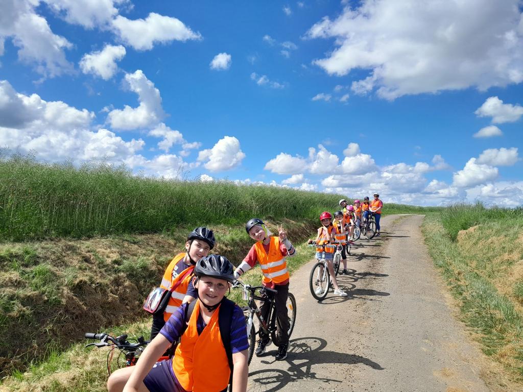 Direction Forton tweet media