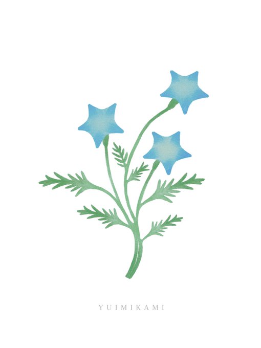 「blue flower still life」 illustration images(Latest)