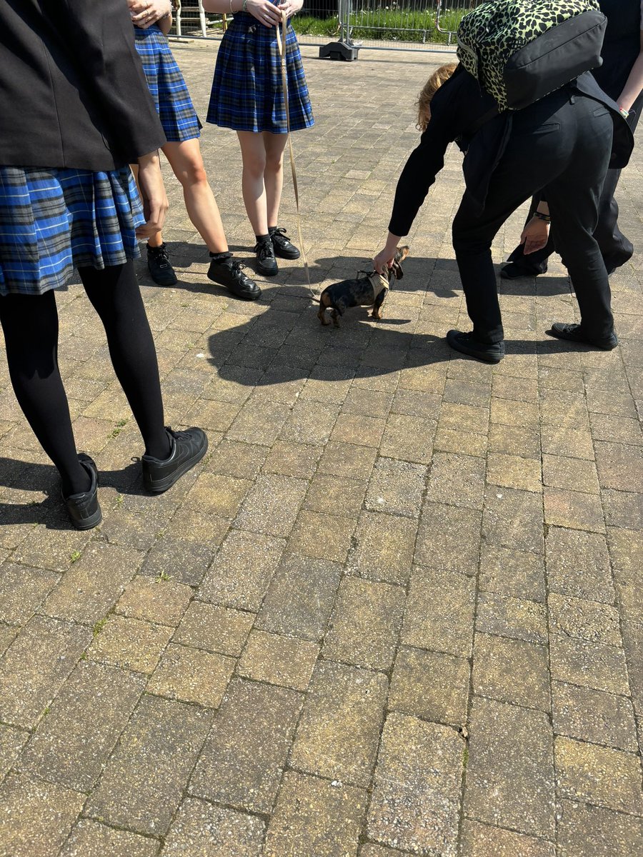 Brontë had such a great time being a therapet this afternoon. Waggy tail and lots of kisses for everyone! Such a great way to round off MHAW. <a href="/DeptEhs/">EHS Pupil Support Department</a> <a href="/EHSwellbeing/">Eastwood High School Well-being Service</a>