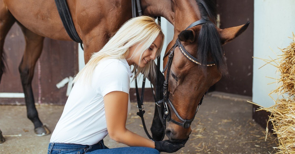 🐴 Protecting Your Equine Investment in Uncertain Times: horsesport.com/magazine/busin… 🗣️ Meghan Mackenzie Bell of Henry Equestrian, Powered by NFP, shares the trends she’s seeing in horse value, plus good-to-knows about insurance. #NFP #Canada #HorseInsurance