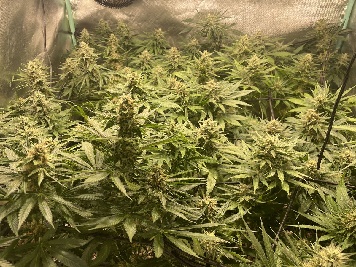 Noch 4 Wochen 🙌😍