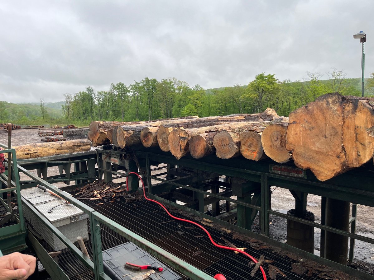 DCNRnews's tweet photo. Sustainable timber harvesting:
🌳 Keeps forests productive and resilient
🚪 Provides raw building materials
💵 Stimulates our economy
🌱 Stimulates young forest habitat for many species including our state bird, the ruffed grouse
#PaWorkingForestsWork #ForestFriday https://t.co/pzjDMdjQgu