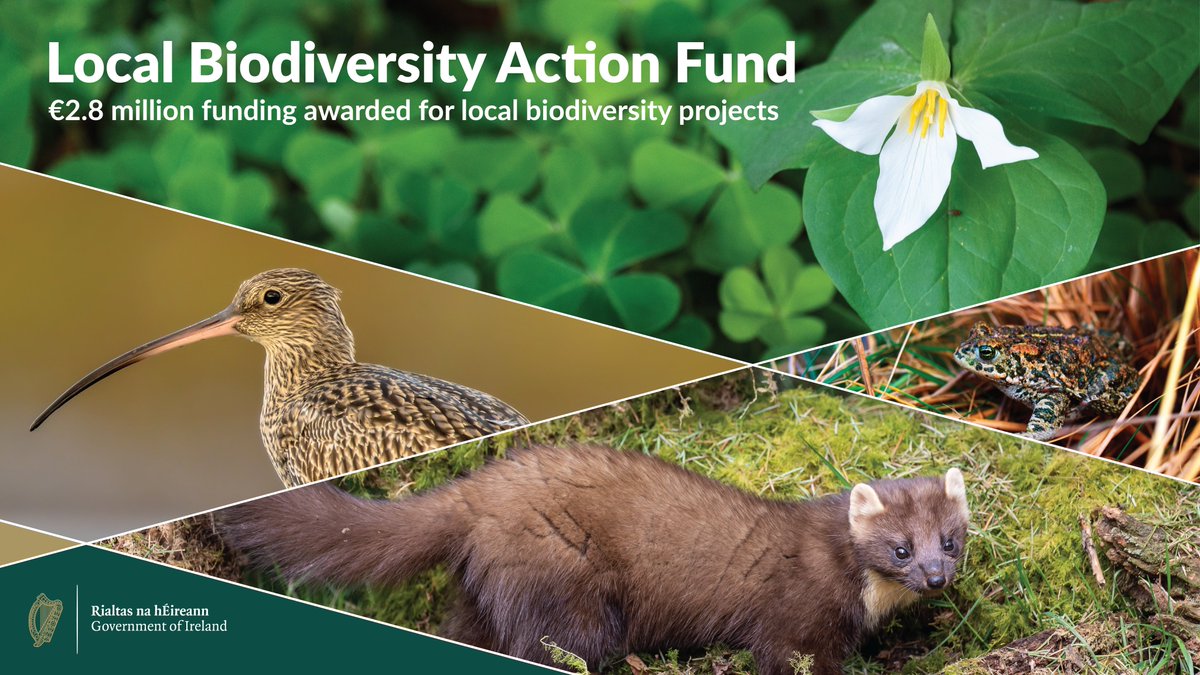 Today, Minister @noonan_malcolm announced €2.8 million in funding for 233 community projects across all 31 local authorities as part of the Local Biodiversity Action Fund (LBAF). Learn more: bit.ly/3WKpntO #LBAF @NPWSIreland