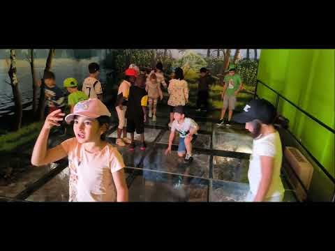 VISITA A LOS GALACHOS DE LA ALFRANCA:  El alumnado de 1° de primaria se fue de excursión al Galacho de La Alfranca donde pasó un día estupendo y aprendió mucho sobre la naturaleza.Tuvo la suerte de ver como la golondrina entraba varias veces a su nido… dlvr.it/T725BQ