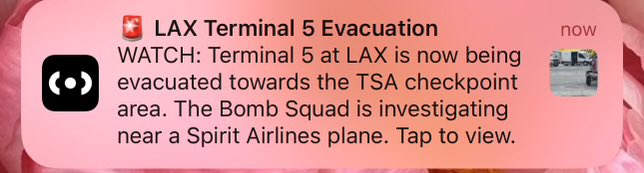 🚨BREAKING there is reportedly a bomb at Terminal 5 of LAX. The terminal is currently being evacuated as the bomb squad moves in and investigates a Spirit Airlines plane.