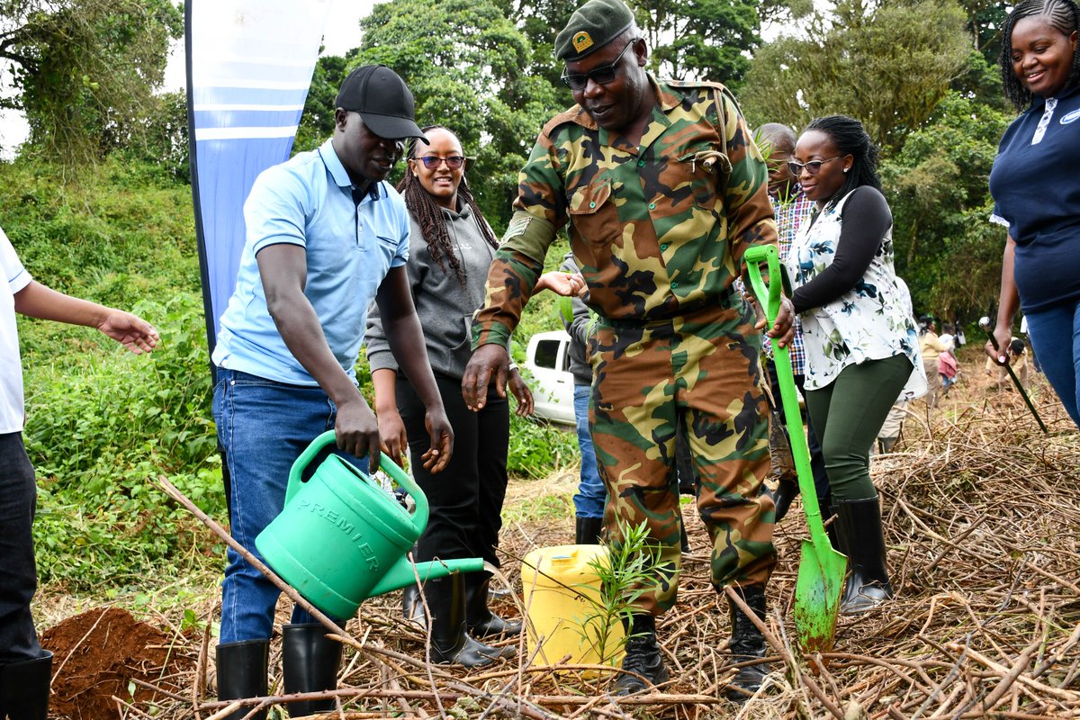 KEBS KENYA tweet media