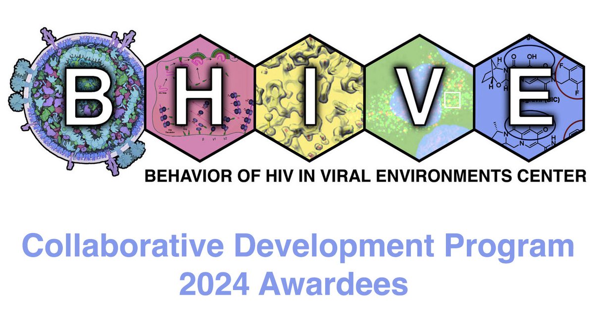 We are excited to announce the 2024 Collaborative Development Program (CDP) Awardees. This year, the CDP will provide support for two innovative investigators to bring new, synergistic methodologies to the Center and be fully integrated in the B-HIVE community. Thread below 🧵: