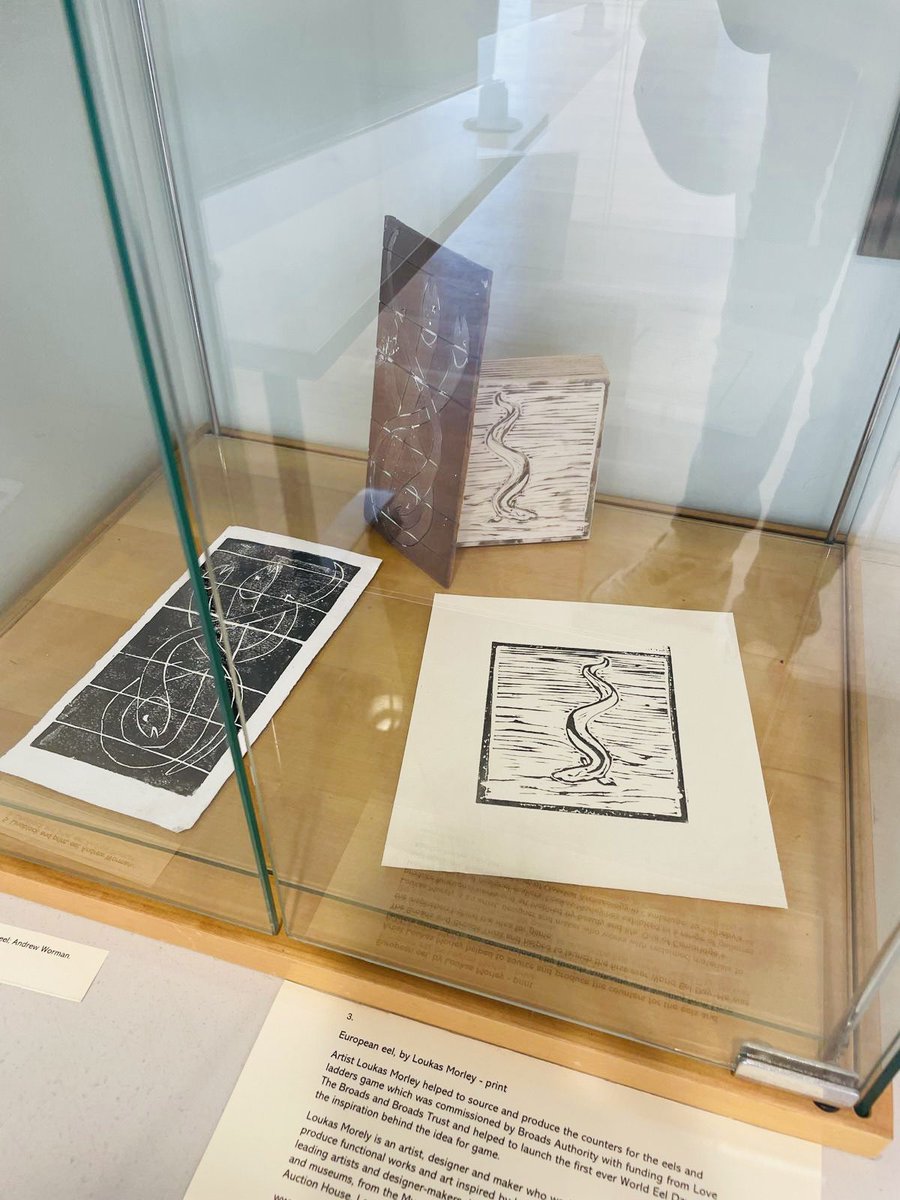 RuthieCollins's tweet image. Beautiful prints and blocks made by Andrew Worman and @LoukasMorley in our exhibition at @NWTCleyCentre @eelsuitcase #worldeelday #worldeelday24