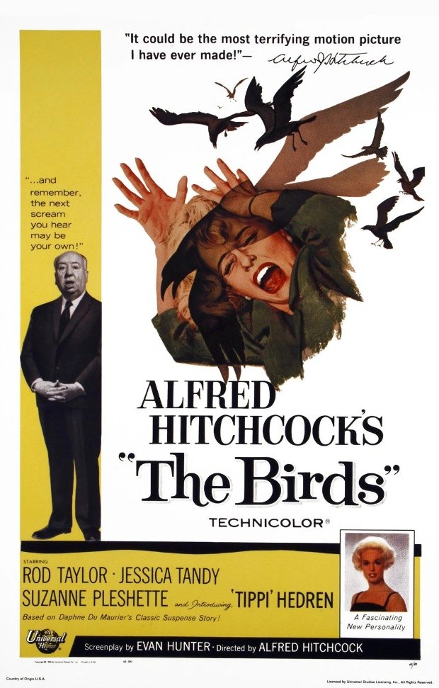 In May of 1963, Alfred Hitchcock's chilling masterpiece 'The Birds' took flight at the Cannes Film Festival. Watch out for those feathered fiends! 🐦🎬 #HorrorHistory #HorrorMovies #HorrorCommunity #HorrorArt #Creepy #ScaryStories #Haunted #ZombieApocalypse #Slasher