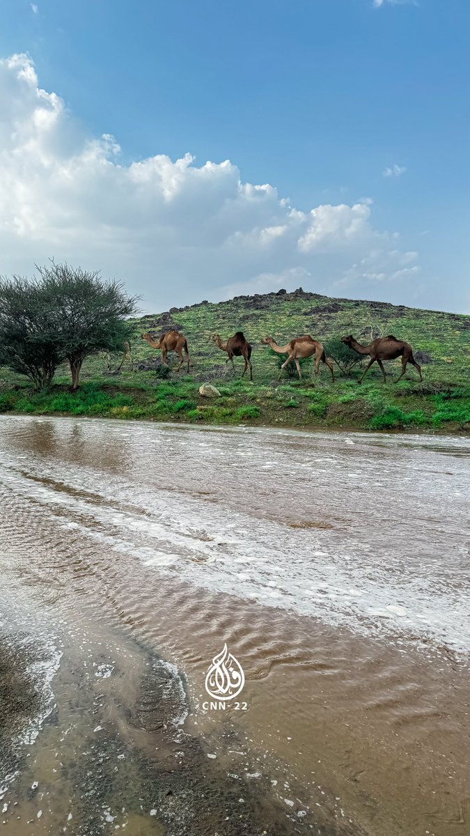 فلاح بن ناجي tweet media