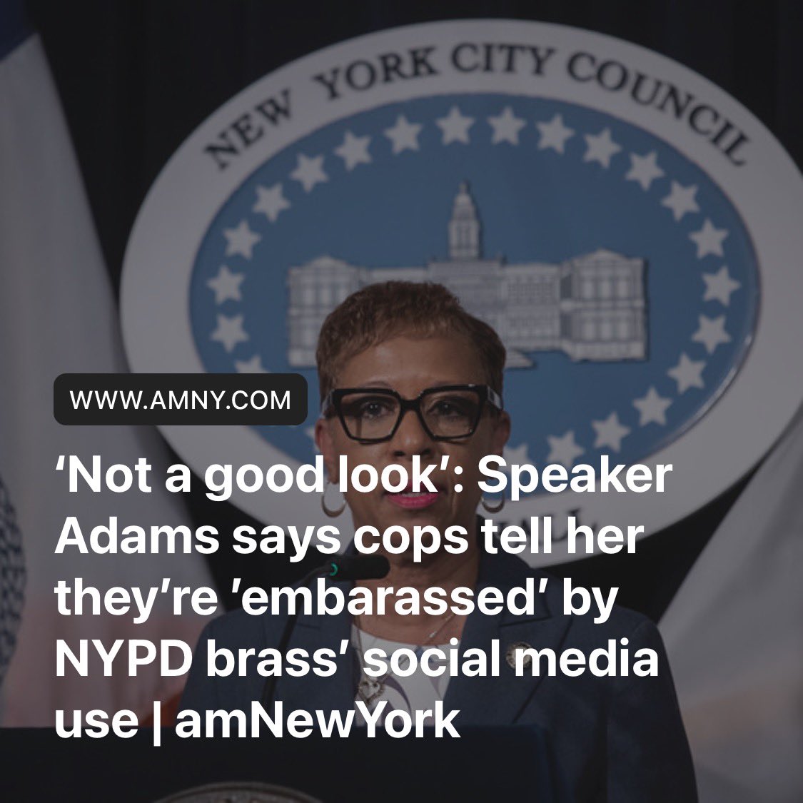 Not only do the radicals in the City Council fail to support hardworking Detectives and their fellow Finest, they try to silence those who do. The public safety in our city relies on supporting the police — and NYPD Detectives deserve nothing less. amny.com/news/speaker-a…