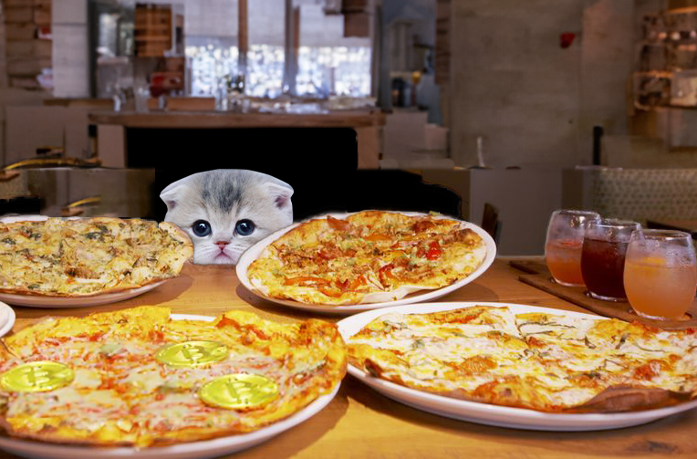SliceThePizzaCat tweet media