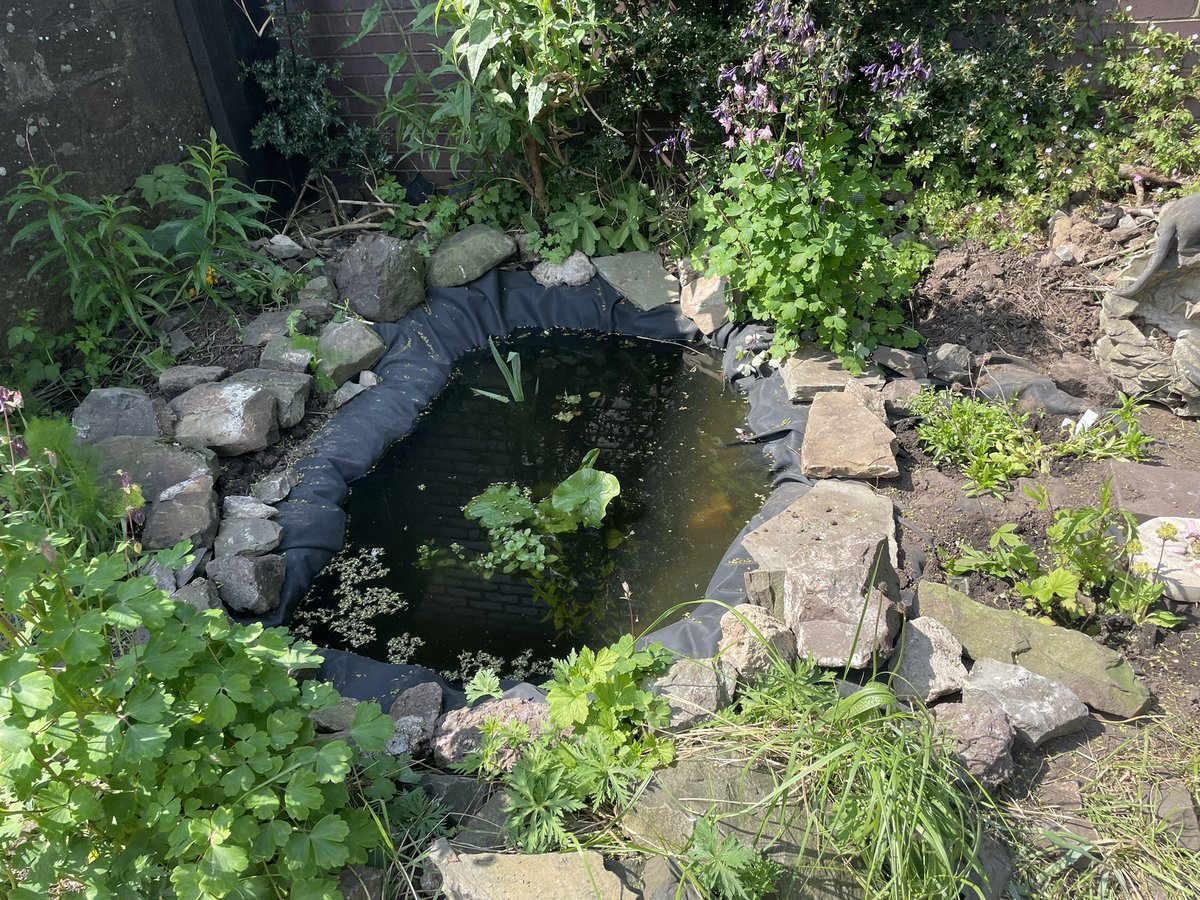 Bug hotels, pond and bog gardens completed in both community gardens. Last lot of netting put up at Queen St thanks to #BagsOfHelp for brilliant support with equipment, netting, new door and pond plants. Thanks too to fab OL pupils! #EcoSchoolsDundee