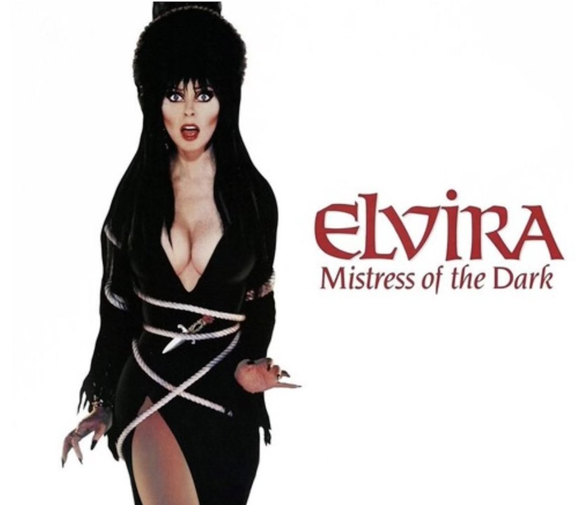 Elvira: Mistress of the Dark, master of the zinger. I screamed bloody murder when @sgs711 told me he handed my book to a true queen and personal hero, Cassandra Peterson #elvira #weezer #netflixisajoke #truecrime