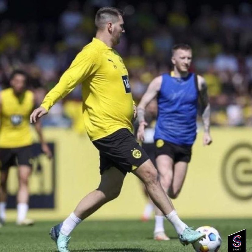 yazın iyi bir kamp yemiş, diri bi süle'yi istemez miyiz? @.erdenabi