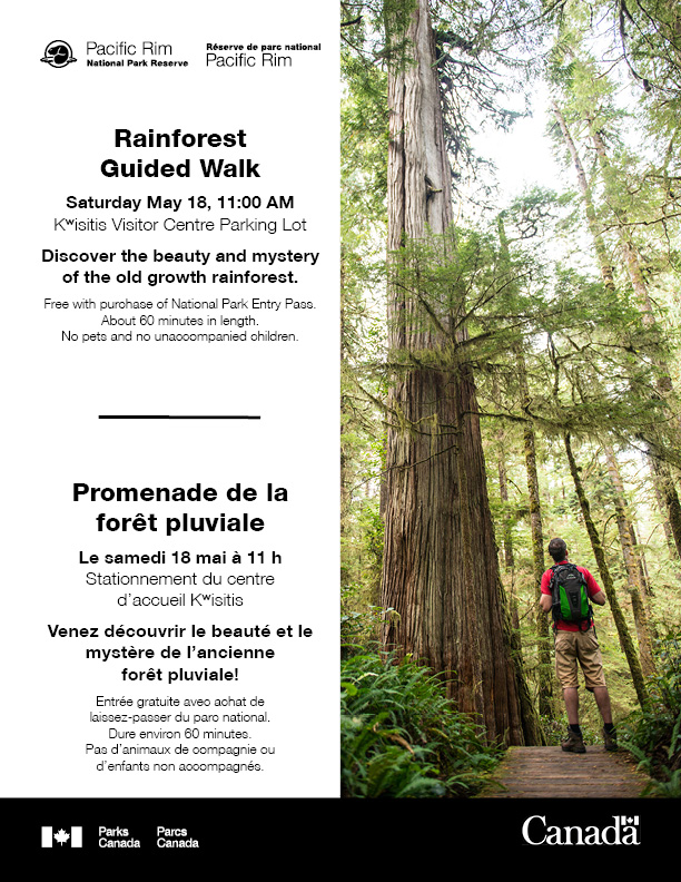 Come explore the temperate rainforests of Vancouver Island on a guided Rainforest Walk with our #PacificRimNPR interpreters tomorrow, May 18. The guided walks begin at the Kʷisitis Visitor Centre parking lot at 11 am.