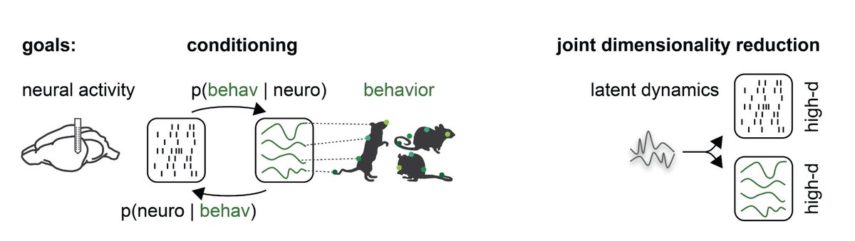 We are very excited to share our new work, which unifies probabilistic neural encoding, behavioral decoding, and joint dimensionality reduction in a single model.

How?

Through modeling conditional distributions in VAEs!

Preprint: biorxiv.org/content/10.110…