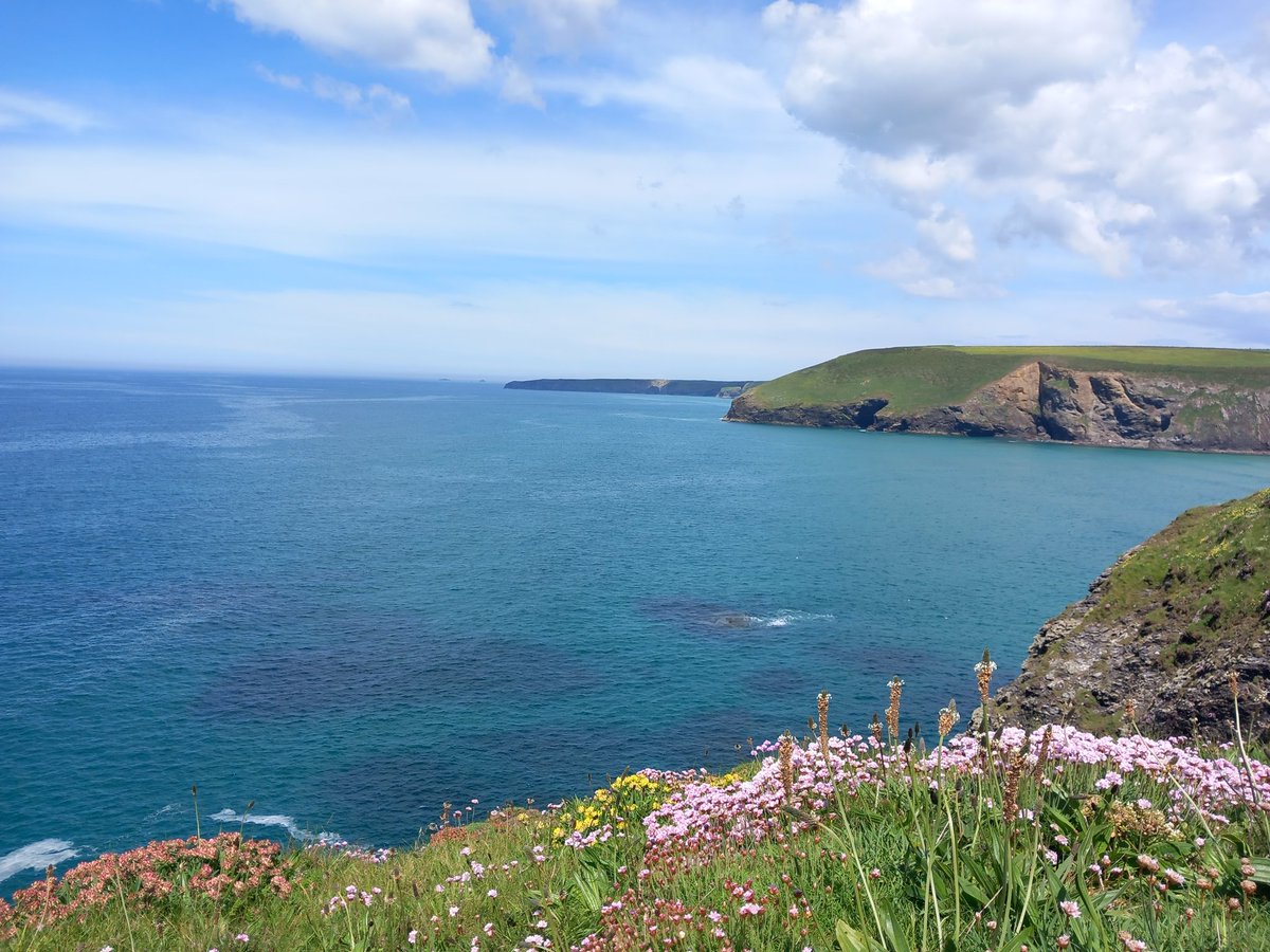 Carla and I ventured to Newquay today to join Katie and Indy for 10km of their epic Lands End to John O' Groats Walk! Great weather, wildlife and company made for a lush day out!! Follow their journey using #MarineMiles and please consider donating to @HWDT_org using link below!