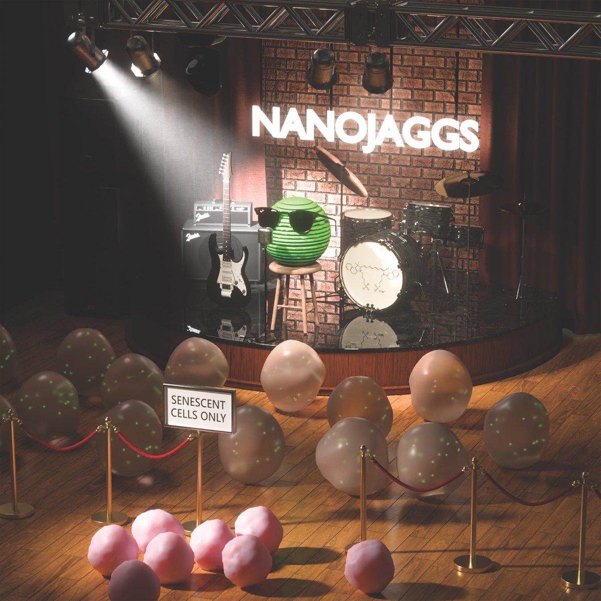 Ljiljana Fruk (@lil2410) on Twitter photo NanoJaggs (nano)rock! check out our latest paper on use of tiny organic particles for in vivo detection of senescence. Thank you <a href="/SarahBohndiek/">Sarah Bohndiek</a> group, our great collaborators at <a href="/MunozEspin_Lab/">Muñoz-Espín Lab</a> <a href="/cebcambridge/">CEB Cambridge</a> <a href="/EarlyCancerCam/">Early Cancer Institute, University of Cambridge</a> .<a href="/Ryo_M_Graphics/">Ryo Mizuta Graphics</a> designed the cool cover: NanoJaggs (nano)rock! check out our latest paper on use of tiny organic particles for in vivo detection of senescence. Thank you <a href="/SarahBohndiek/">Sarah Bohndiek</a> group, our great collaborators at <a href="/MunozEspin_Lab/">Muñoz-Espín Lab</a> <a href="/cebcambridge/">CEB Cambridge</a> <a href="/EarlyCancerCam/">Early Cancer Institute, University of Cambridge</a> .<a href="/Ryo_M_Graphics/">Ryo Mizuta Graphics</a> designed the cool cover: