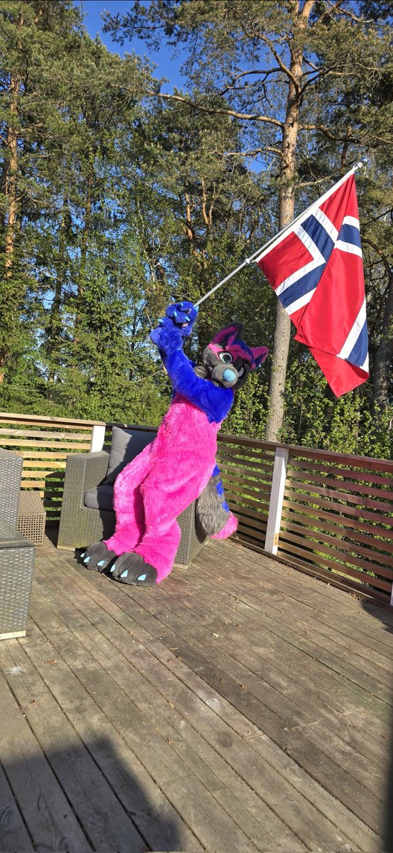 It is Norways #nationalday today. So happy 17th of may! And happy #fursuitfriday at same time ! #FURRY #Fursuit