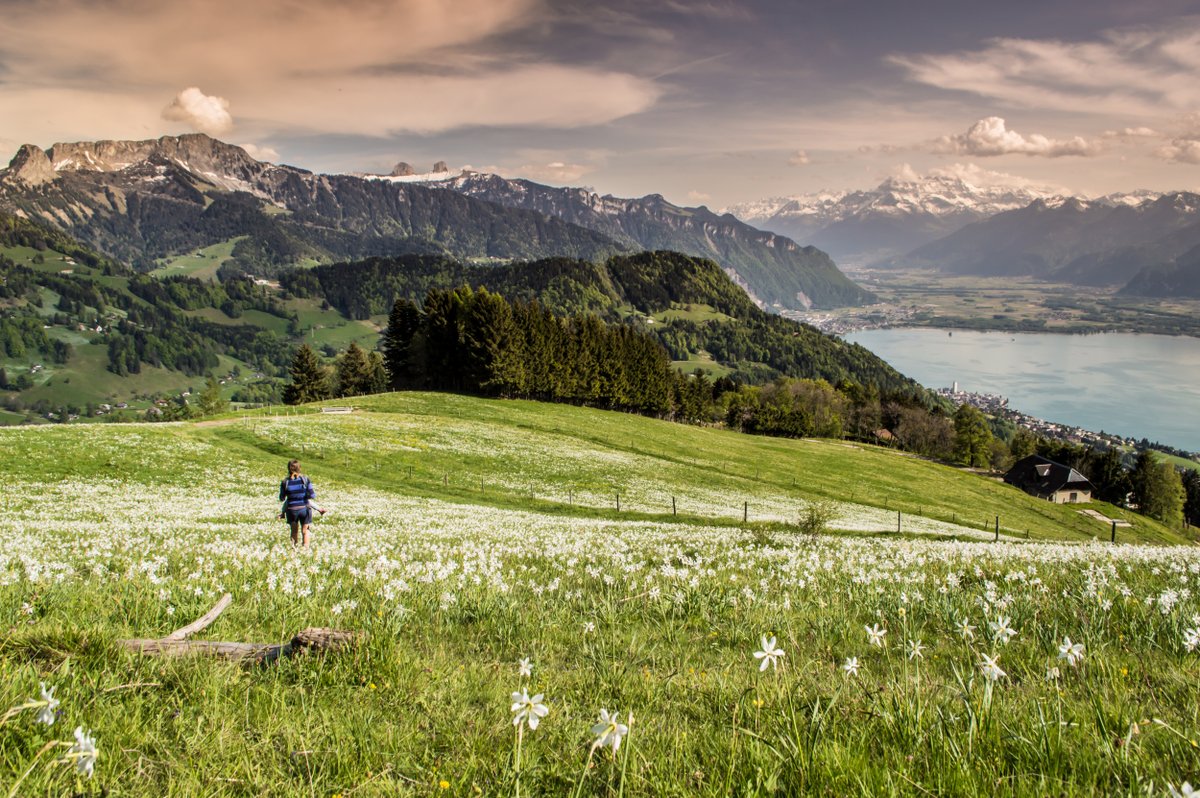 Ready for the long weekend? 😍
Discover 12 exciting hikes here. 🤗Fun for the whole family is guaranteed.

🥾👉bit.ly/3K4dmaY