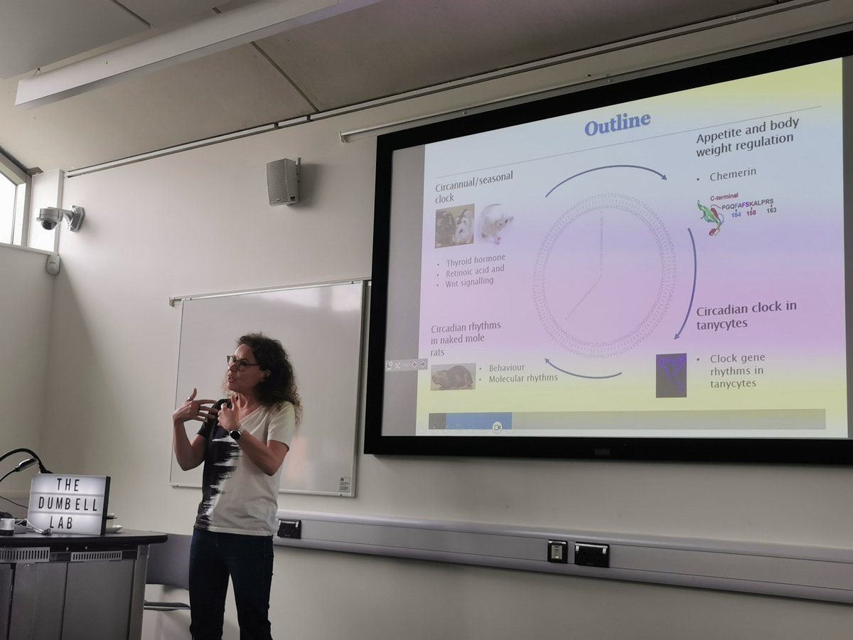 A measure of a great communicator is being able to present without your slides 😬 @gi_helfer