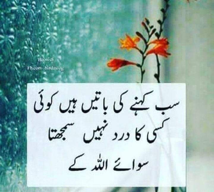 Assalamualaikum good evening ✨✨