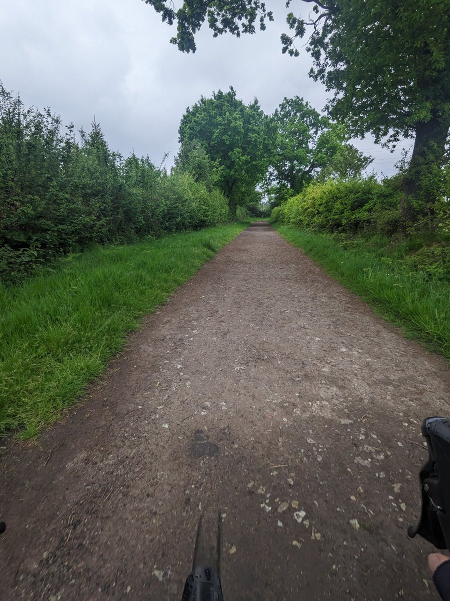 We took the scenic route to the local High St & retail park yesterday. Yes it's longer but it's 10x funner than the road route. The toddler spotted a roe deer on our way & that totally proves it was the best way to ride, even in the rain. Poor photo of the deer sorry #LoveToRide