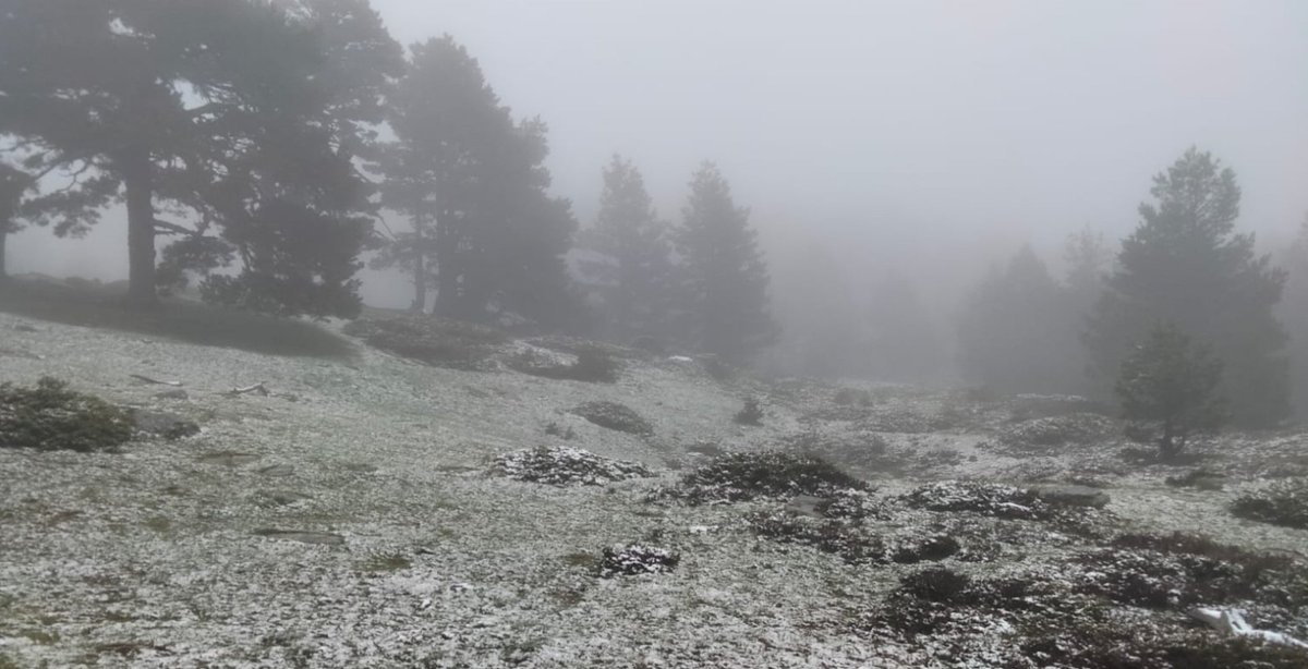 Esta mañana, en el límite entre Duruelo, Soria, y La Rioja, en torno 1900/1950 m. Esta semana ha nevado en cotas altas, e incluso en medias nieve húmeda: martes, miércoles, jueves, y, hoy, viernes. Sin duda, muy destacable, y da idea de las anómalas temp., por frías, de este Mayo