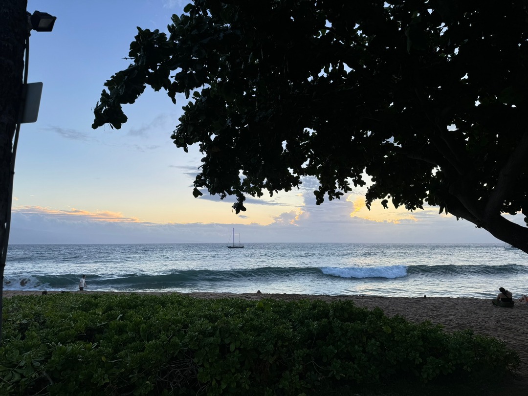 Happy #Maui days. #Mauistrong

Sunset with some clouds
and watching the Nuggets lose
still in paradise

#kbco #haiku #travel #cruise #rivercruise #AdventuresByDisney #ABD #Disney #DisneyWorld #Disneyland #DCL #Azamara #AmaWaterways #VirginVoyages

linktr.ee/2talltom