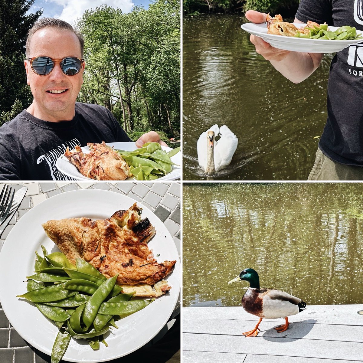 Another beautiful sunny day so I made a simple omelette for lunch in the garden but the swan & duck a bit too interested ….