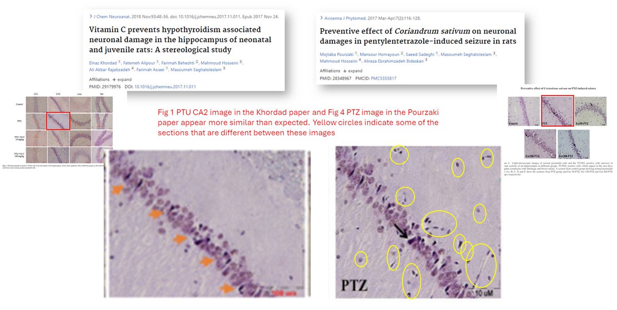 I don't mean to troll Journal of Chemical Neuroanatomy (Elsevier), but.