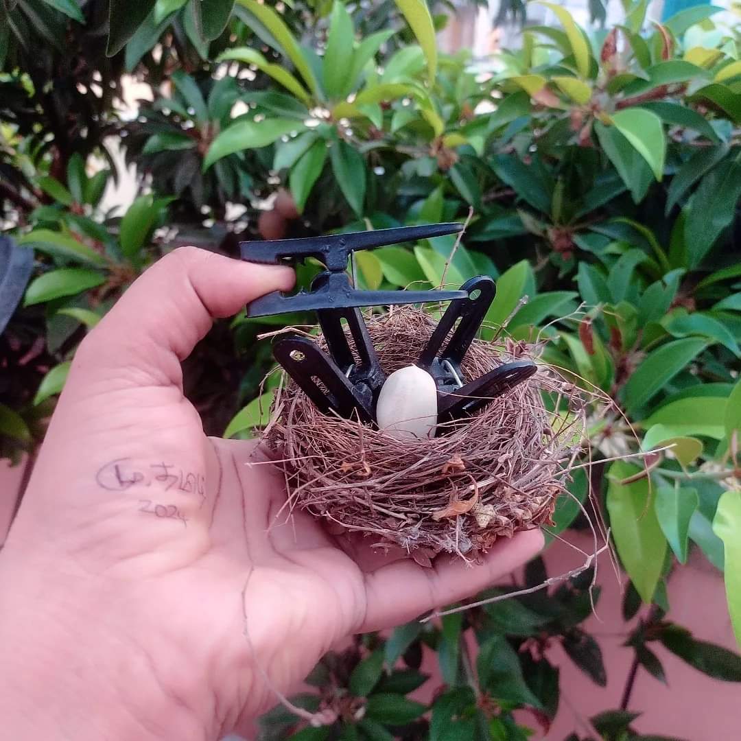 Bird nest #birdnest #creativeart #creativity #art #creativethoughts #trending #viral