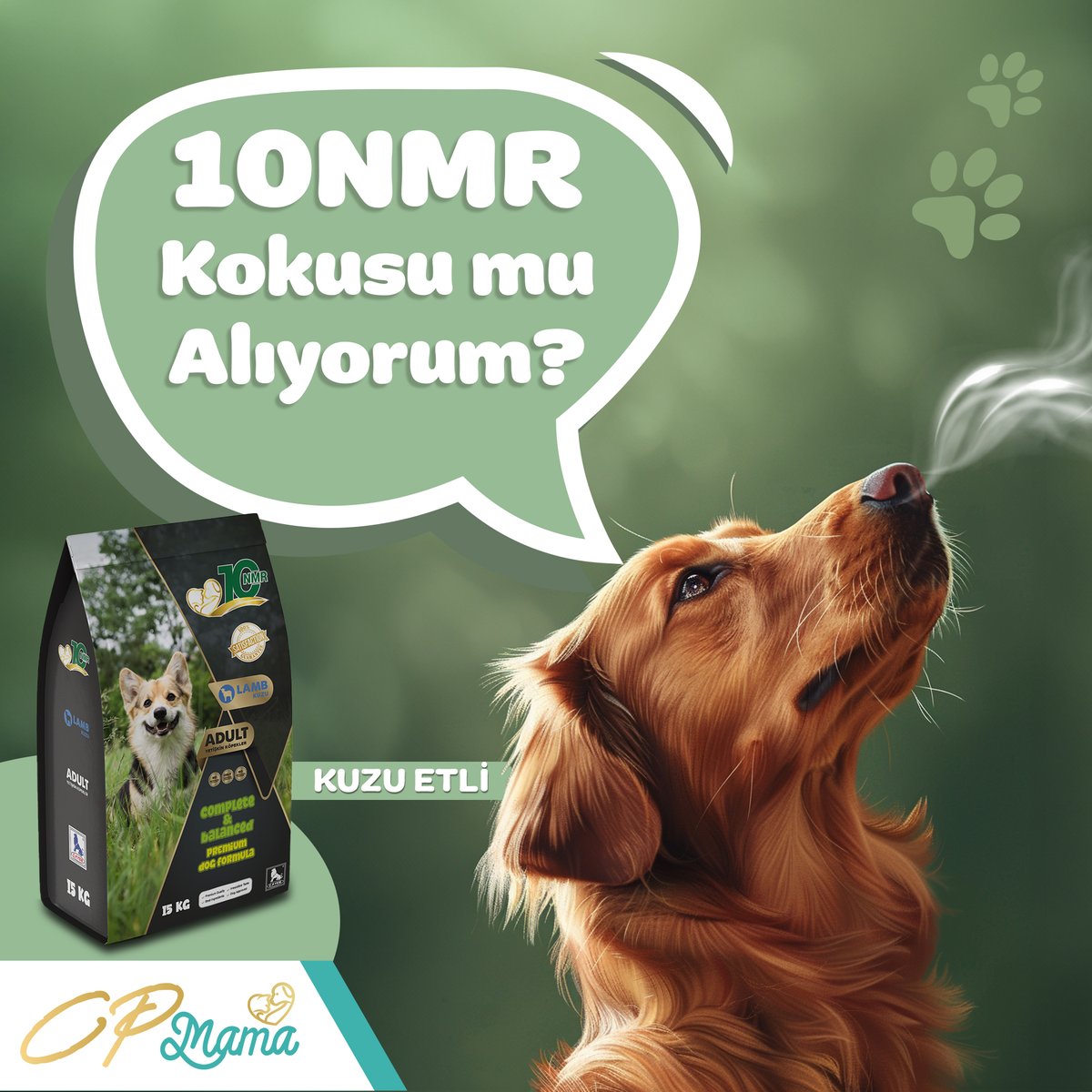 Yoksa biri 10NMR mı dedi? 

#cpmama #lovecpmama #evcilhayvan #pet #kedimaması #köpekmaması #kedi #köpek