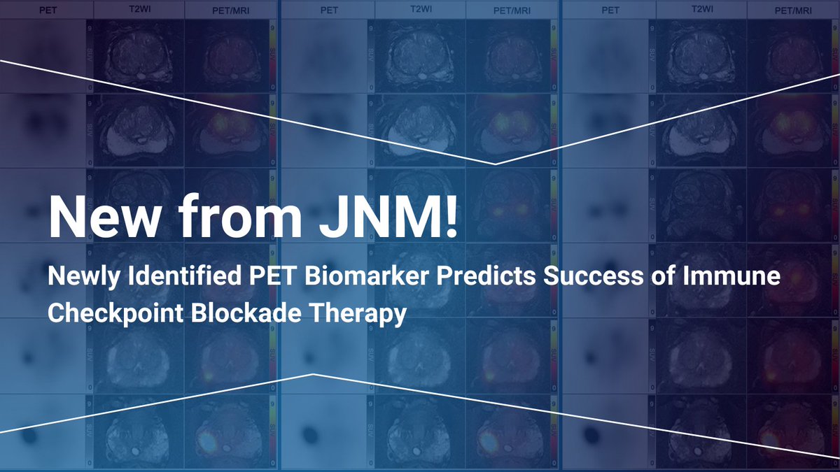 In a new study published in the May 2024 issue of @JournalofNucMed the protein galectin-1 has been identified as a PET imaging biomarker for ICB therapy. Read more here: jnm.snmjournals.org/content/65/5/7…