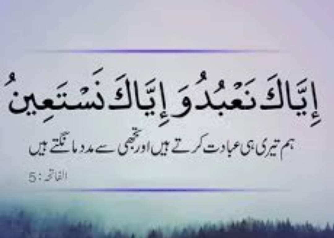 Broke Doomer🔺 tweet media