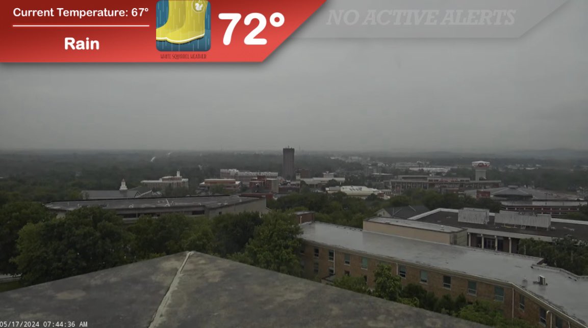 Steady rainfall and occasional thunder will keep things cool and damp today at #WKU! Coverage will slowly decrease as we get closer to the evening and overnight hours, but scattered thunderstorm chances return tomorrow as we attempt to warm back up into the 80s. ⛈️