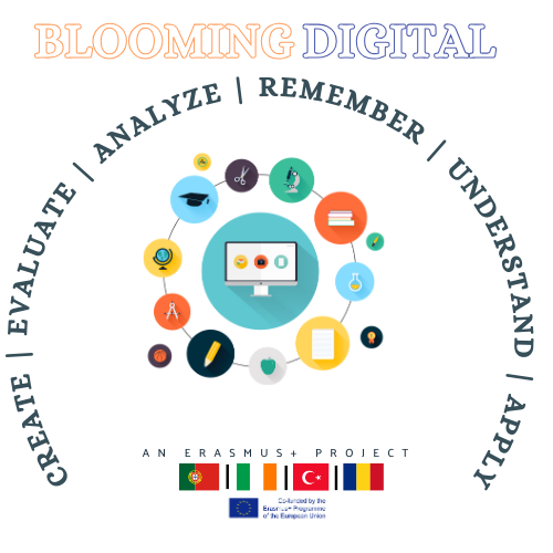 Blooming Digital! tweet media