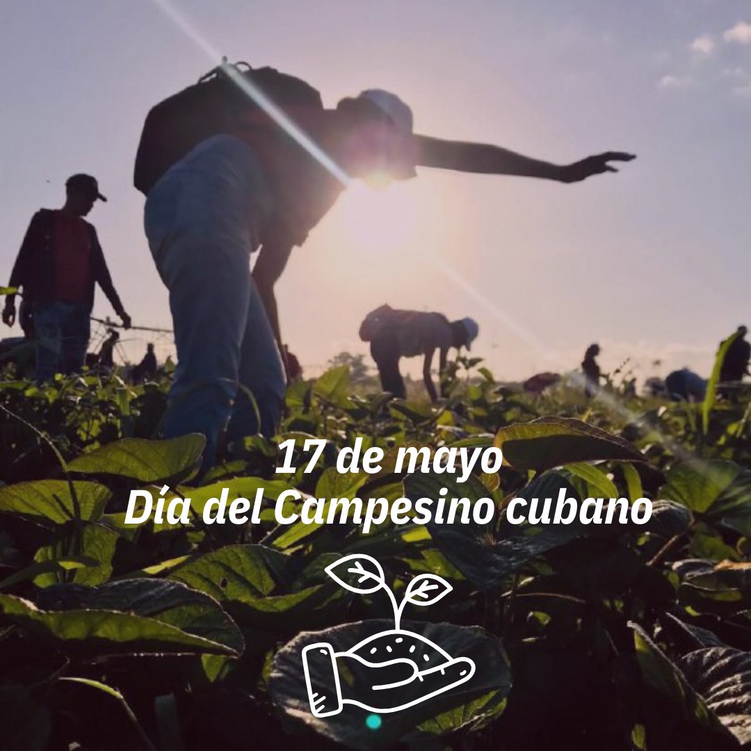 🌱¡Cultivando futuro para todos!  

❤️Los campesinos no solo alimentan al presente, sino que también siembran las semillas de un futuro más sostenible y próspero para todos.  

💯¡Que su labor siga inspirando y guiando nuestro camino! 

👏Feliz Día del Campesino Cubano👏