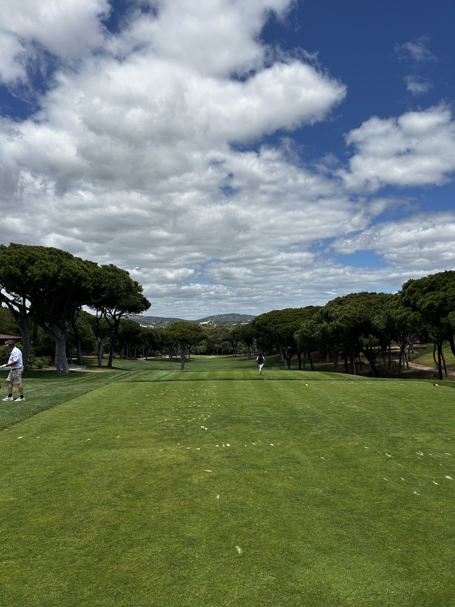 Dave king tweet media