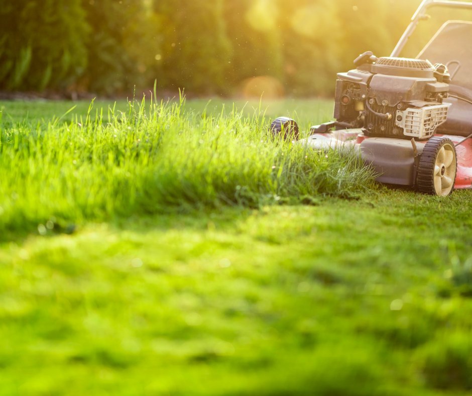 Did you know that a mowed lawn is a fire-resistant lawn? Ensure that grass is cut less than 10 cm in height as it is less likely to burn intensely. Regularly clean up accumulations such as fallen branches from the ground to eliminate potential surface fuels.