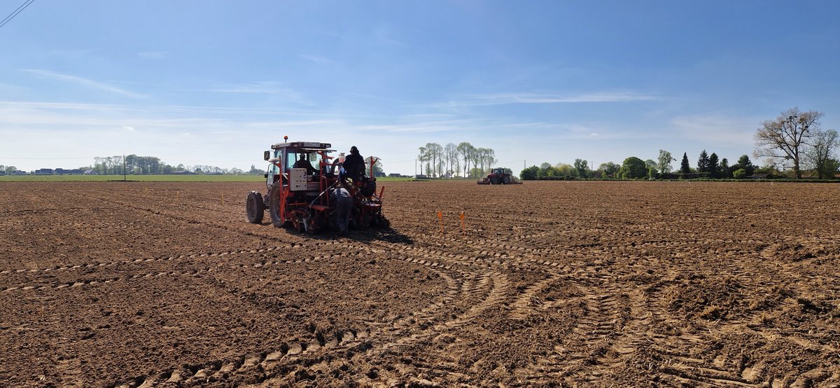 Dumesnil_FR's tweet photo. Nous avons profité du beau temps la semaine dernière pour semer nos essais de maïs fourrage ! 🌽

#ceuxquifontlesessais #étamines #essais #maïs #normandie #negoceagricole https://t.co/otO90CH26d